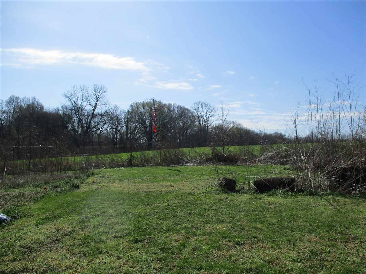 317 Holly Grove Road Covington, TN 38019 - Photo 5 of 7 Gallery Image 5