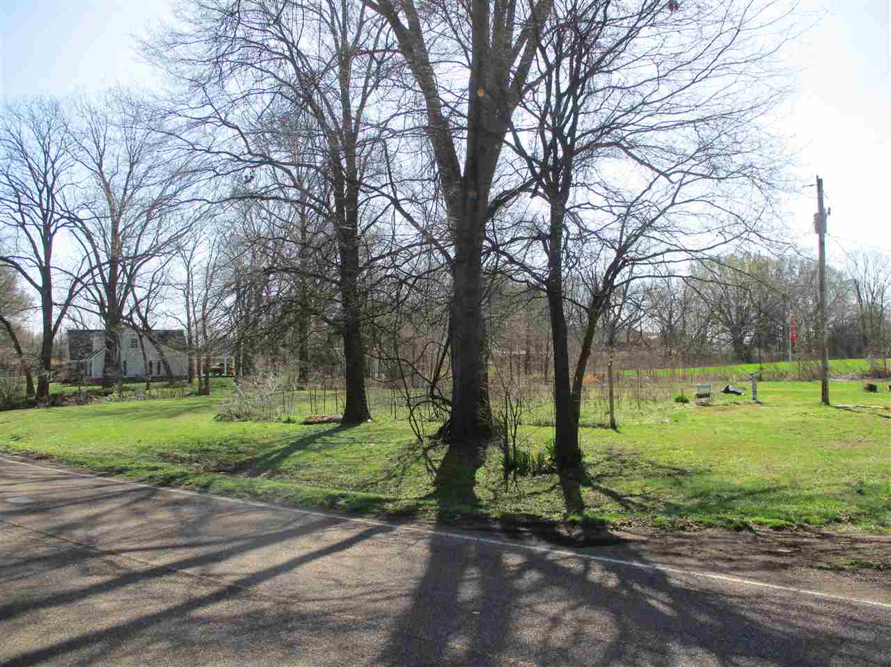 317 Holly Grove Road Covington, TN 38019 - Photo 7 of 7 Gallery Image 7