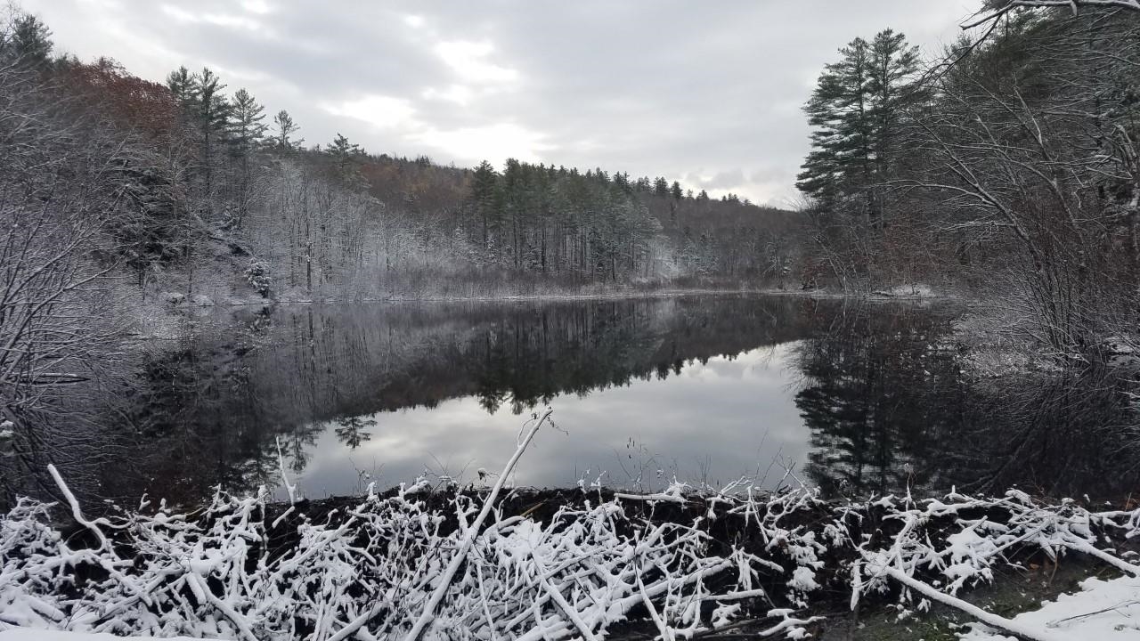 228 Bailey Road Washington, NH 03280 - Photo 23 of 24 Gallery Image 23