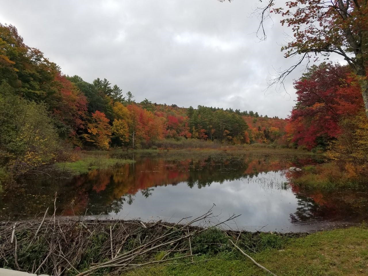 228 Bailey Road Washington, NH 03280 - Photo 24 of 24 Gallery Image 24