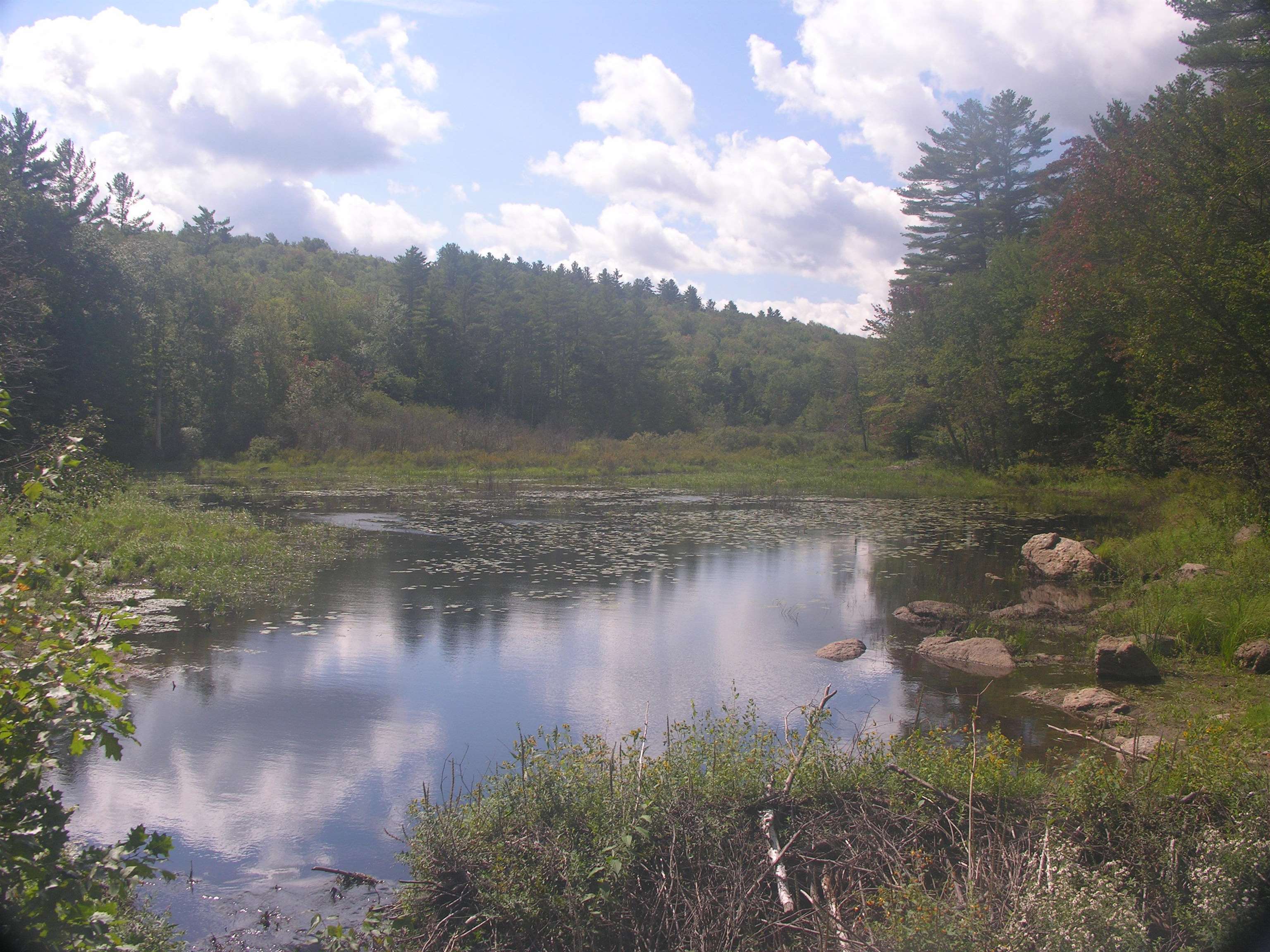 228 Bailey Road Washington, NH 03280 - Photo 4 of 24 Gallery Image 4