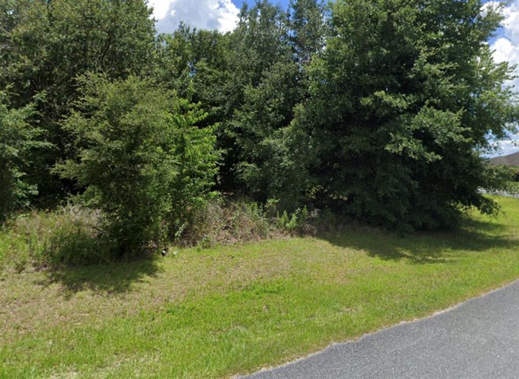 Southwest 128th St Road Ocala, FL 34473 - Photo 3 of 4 Gallery Image 3