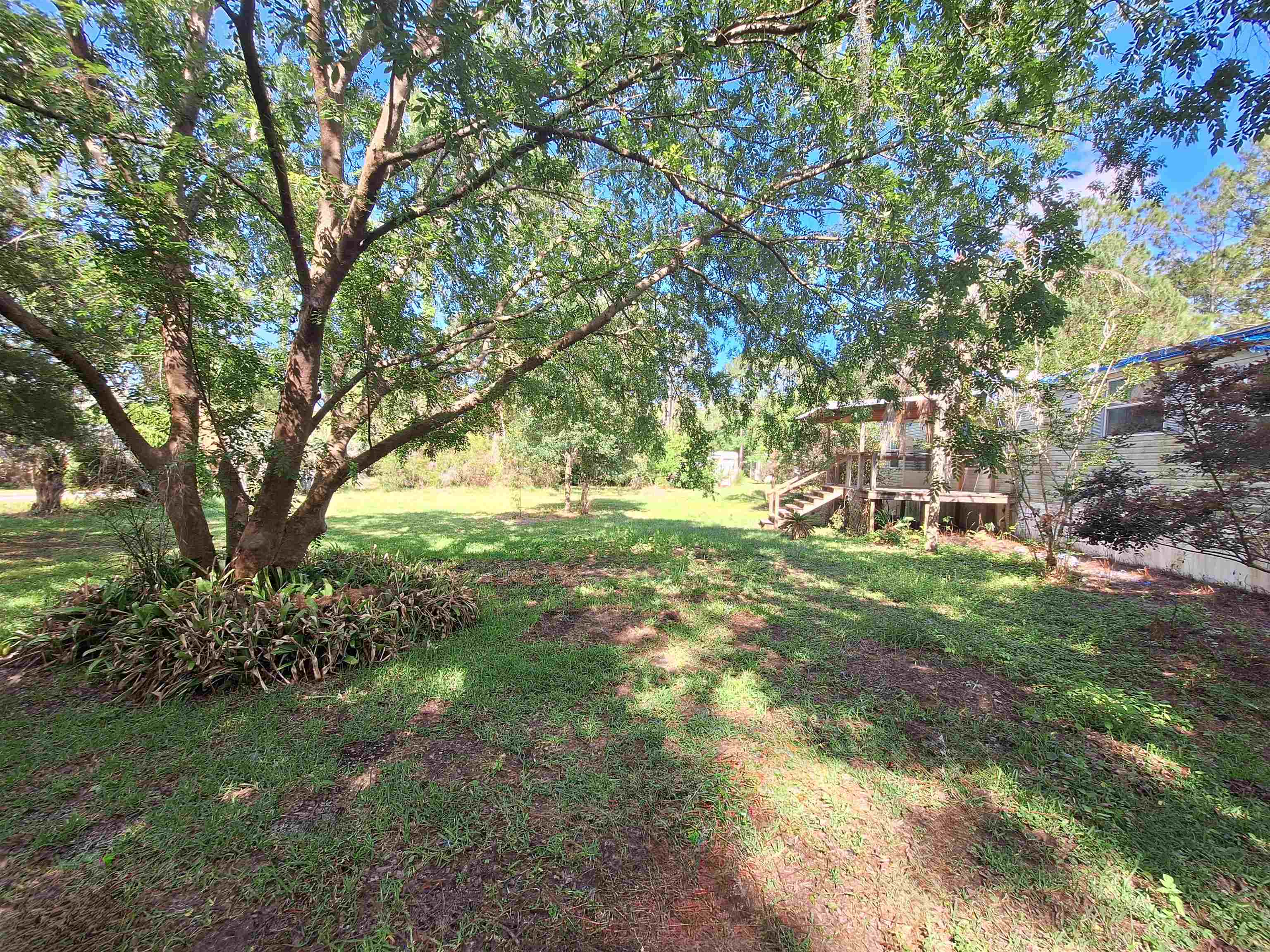 5610 Datil Pepper Road St. Augustine, FL 32086 - Photo 31 of 48