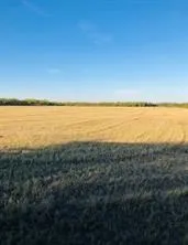 $335,000 | Tbd Farm Market 142, Lueders, TX 79533