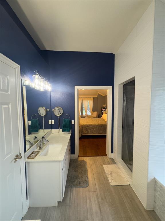 413 Ridge Meade Drive Lewisville, TX 75067 - Photo 18 of 23 a en suite bathroom with a sink vanity and mirror