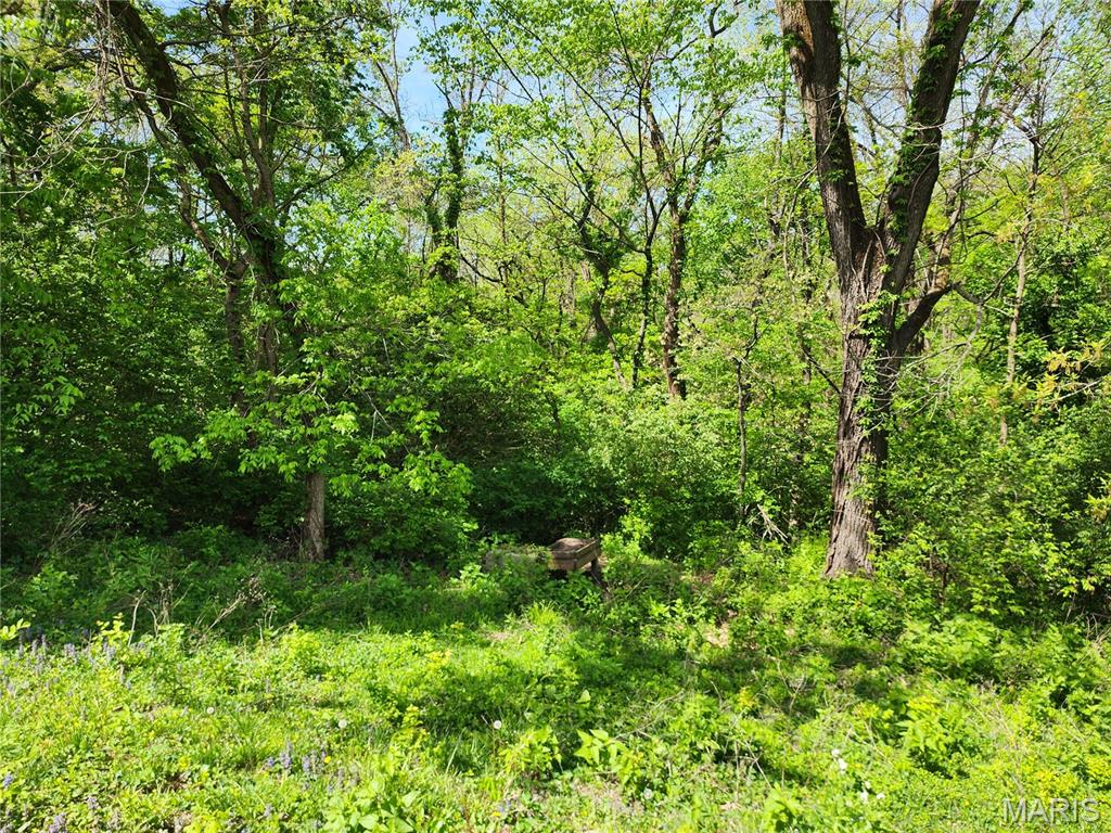 9621 Ridge Heights Road Fairview Heights, IL 62208 - Photo 37 of 37