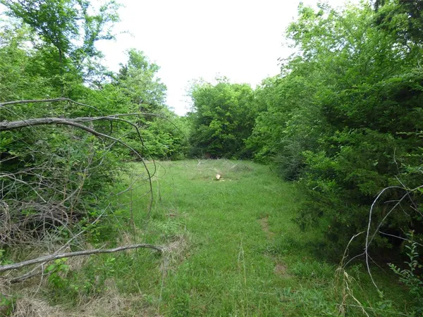 a backyard of a house with a swing chair and entertaining space