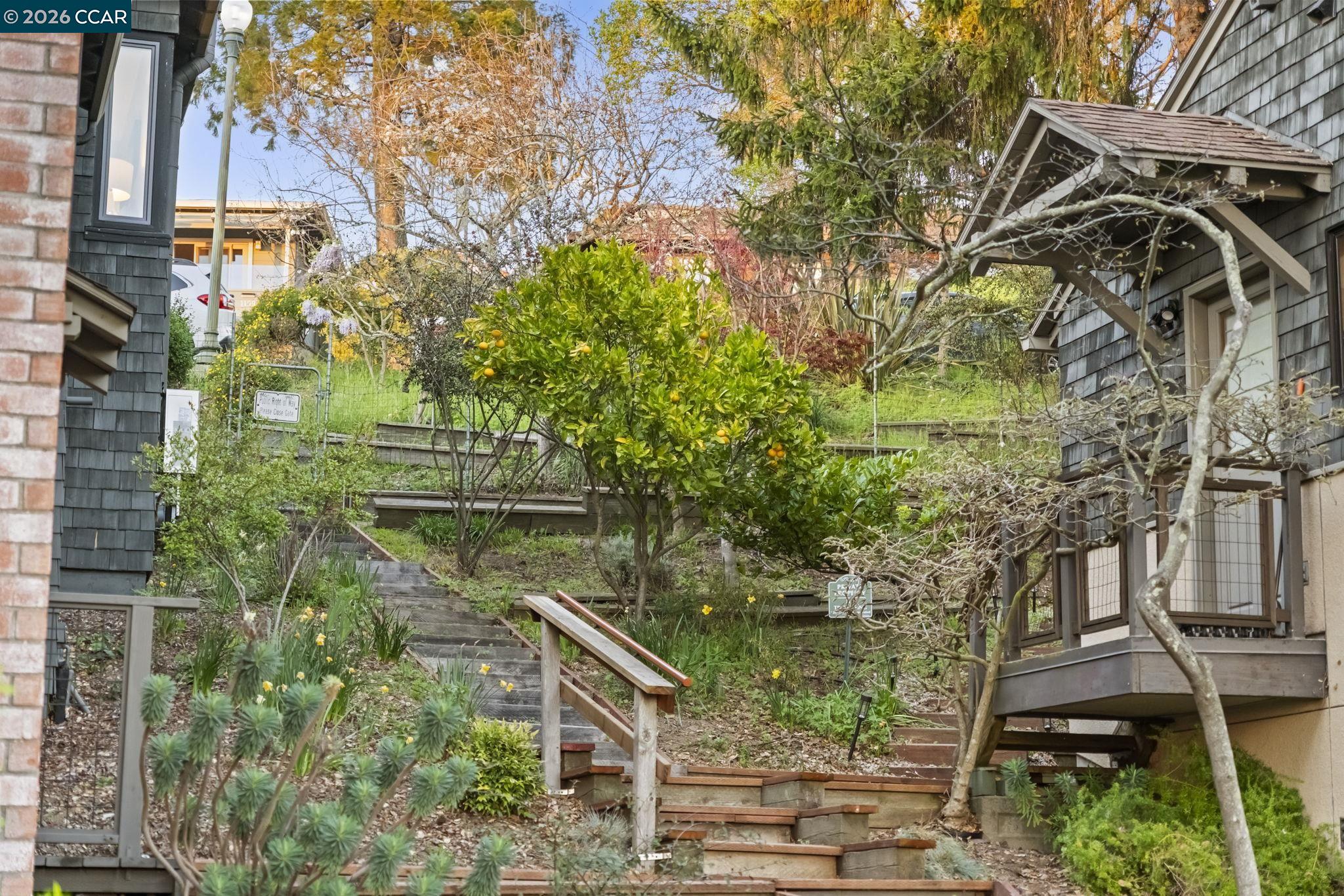 1160 Miller Avenue Berkeley, CA 94708 - Photo 54 of 70