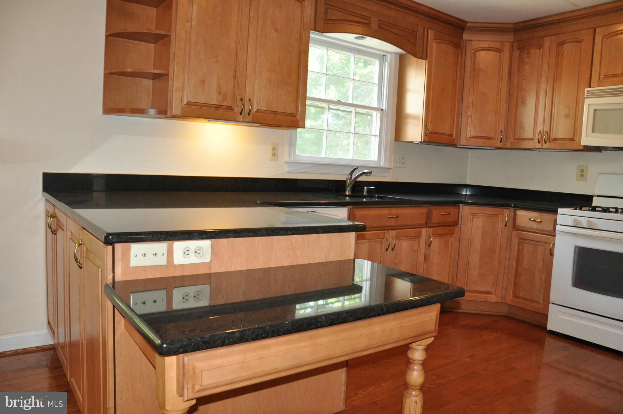 1605 Billman Lane Silver Spring, MD 20902 - Photo 10 of 30 Kitchen