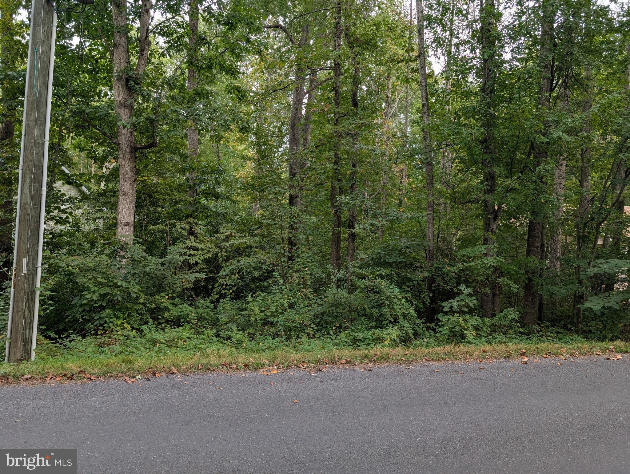 203 Battlefield Road Locust Grove, VA 22508 - Photo 6 of 13 ROADSIDE VIEW OF 203 BATTLEFIELD LOT