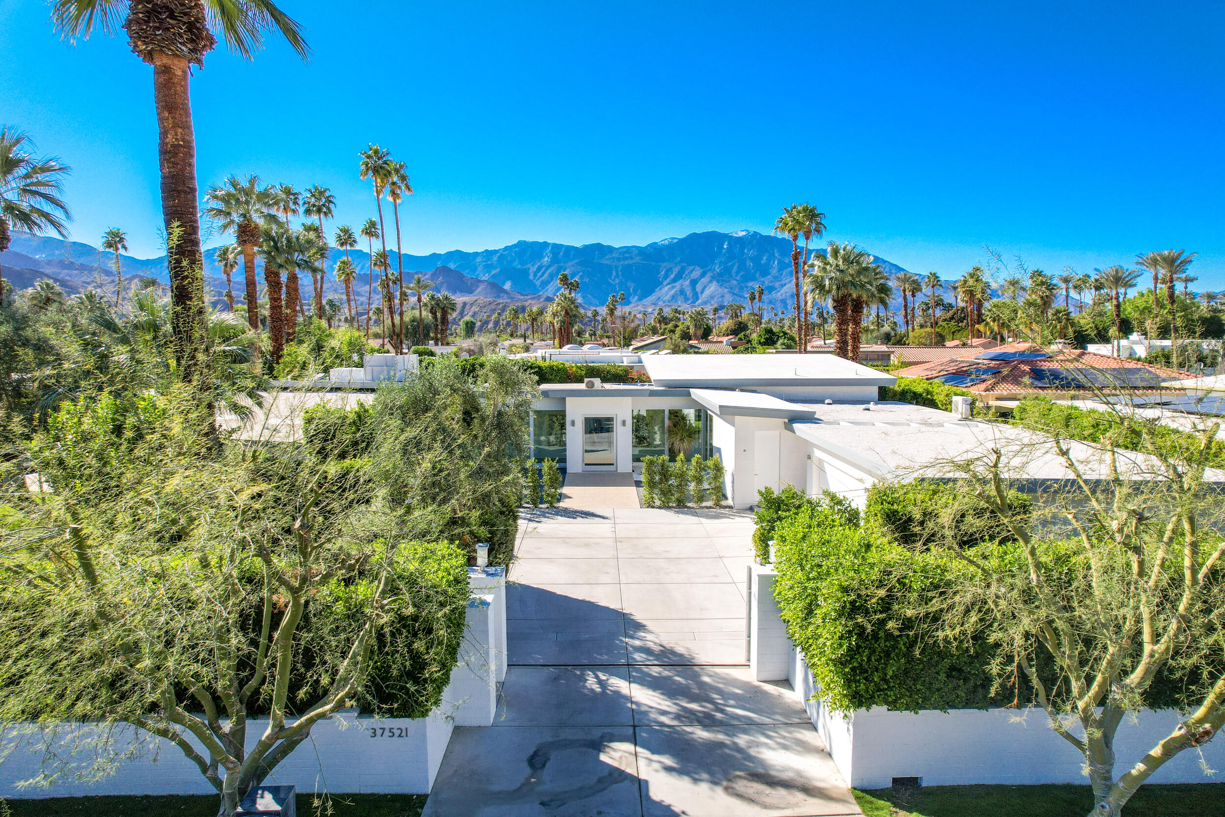 37521 Palm View Road Rancho Mirage, CA 92270 - Photo 55 of 61 a view of a yard with plants and palm trees