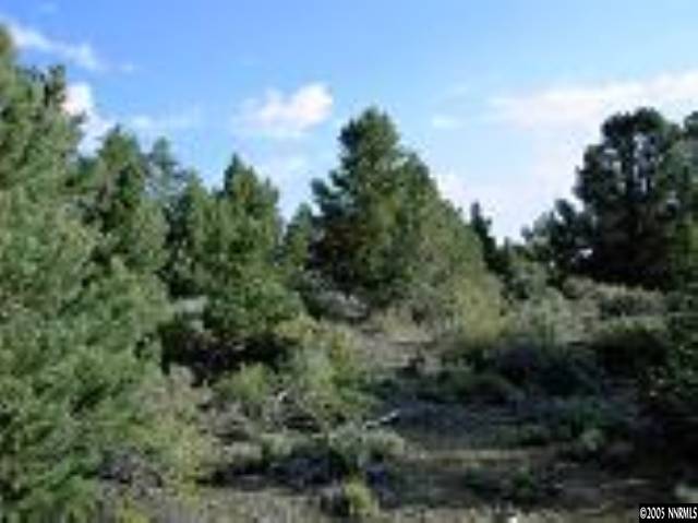 21551-31 Crestview Road Reno, NV 89521 - Photo 2 of 3 a view of a field of grass and trees