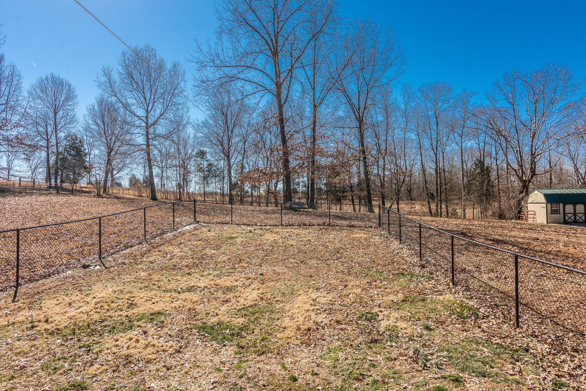 166 Switchboard Road Portland, TN 37148 - Photo 38 of 49 a view of backyard space