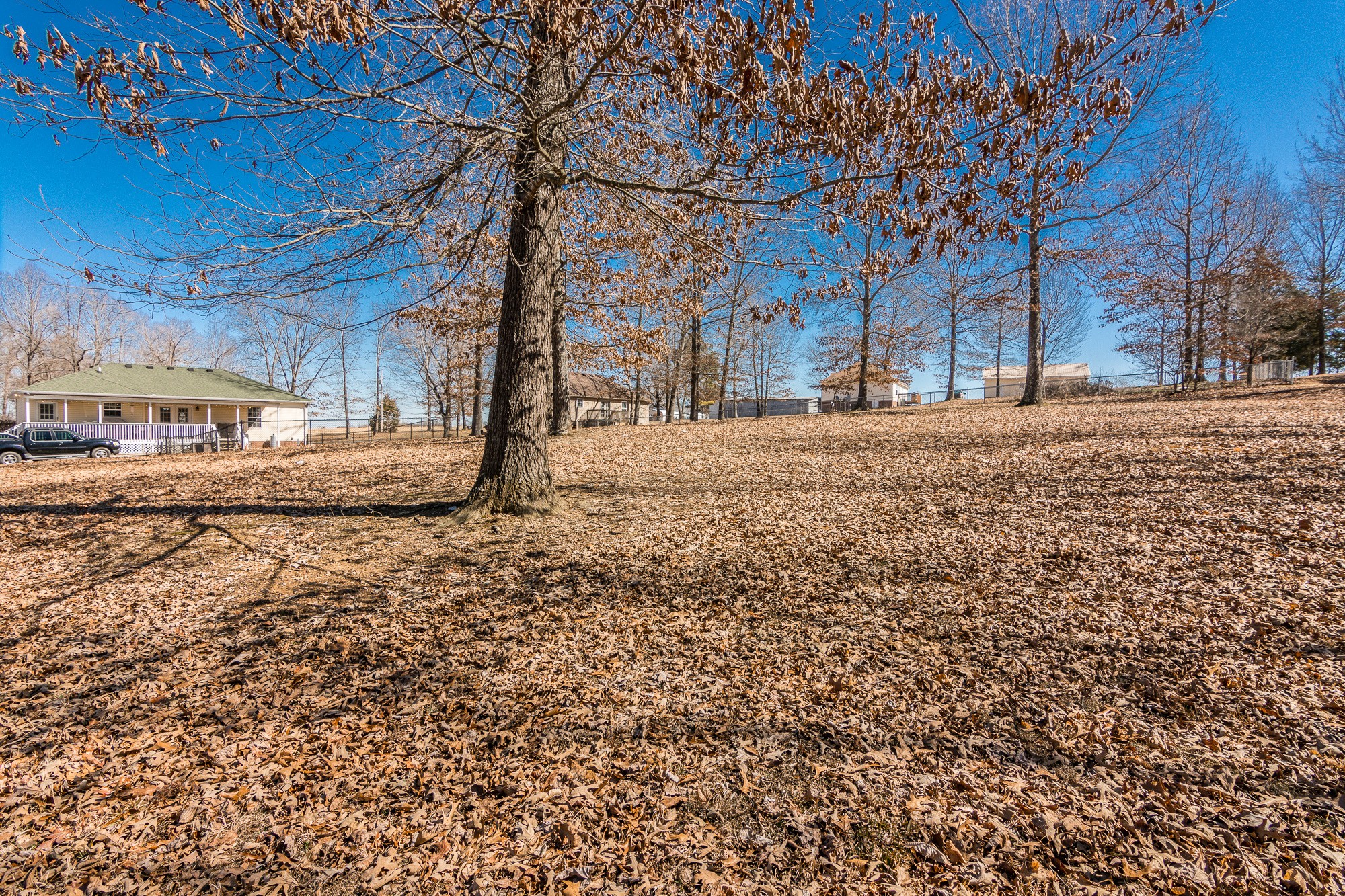 166 Switchboard Road Portland, TN 37148 - Photo 45 of 49 a large tree in front of a brick house