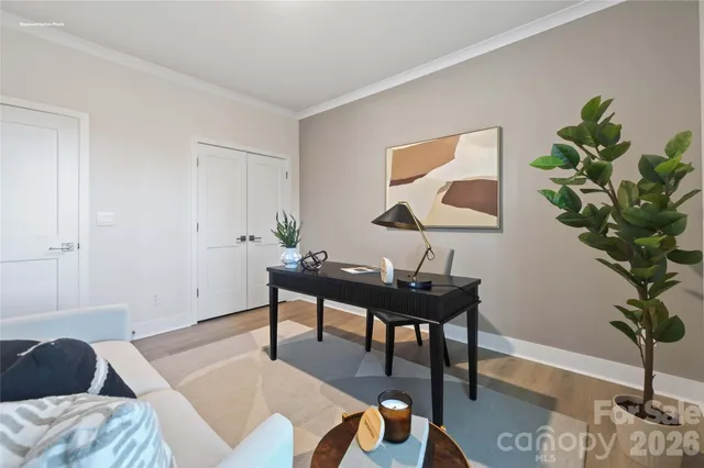 a view of a livingroom with furniture and a potted plant