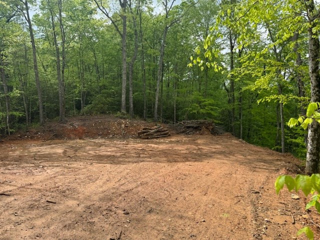 0 Tyler Lane Marble, NC 28905 - Photo 29 of 31