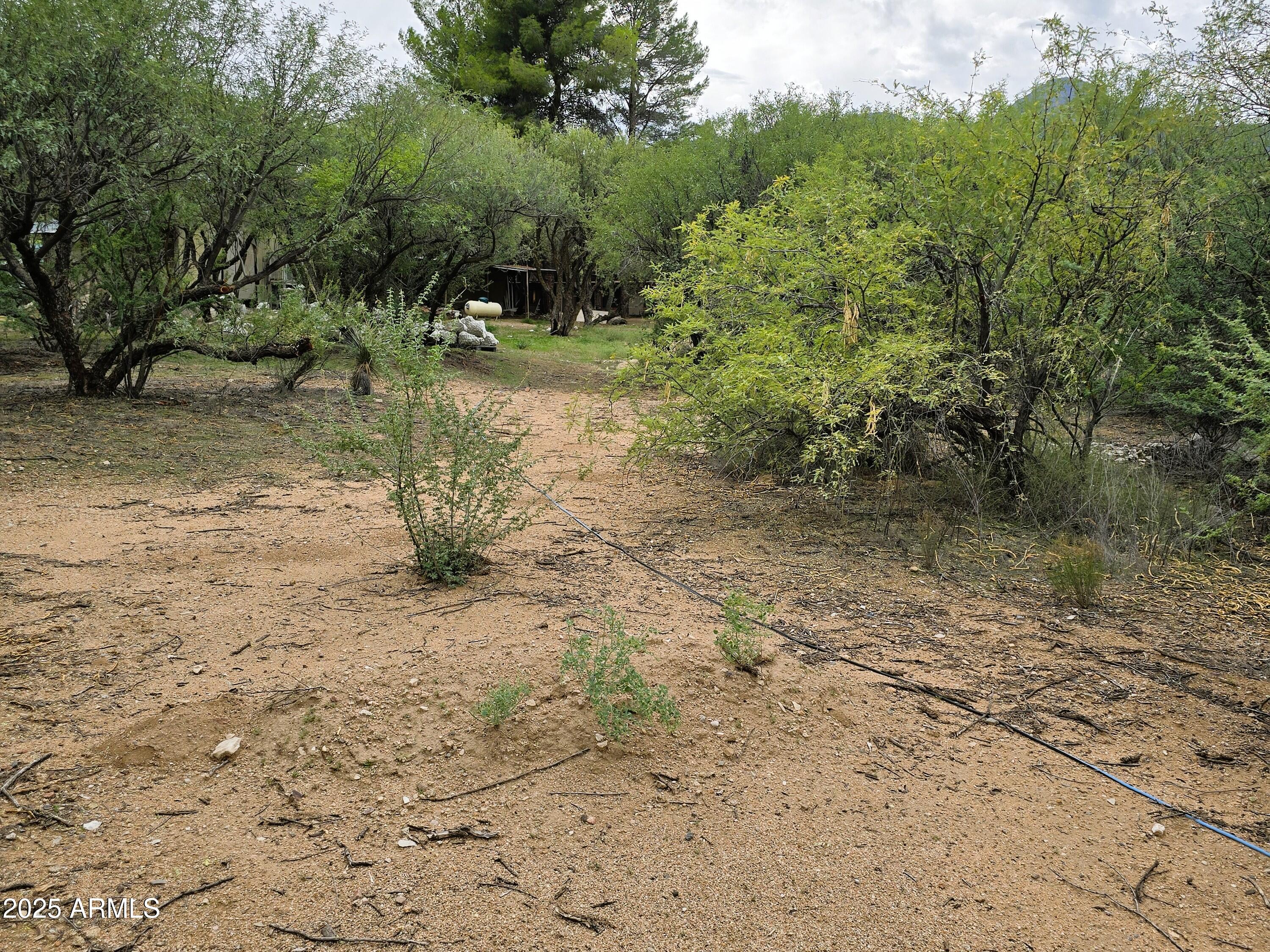 1642 East River Bend Road Camp Verde, AZ 86322 - Photo 35 of 38 Room to build