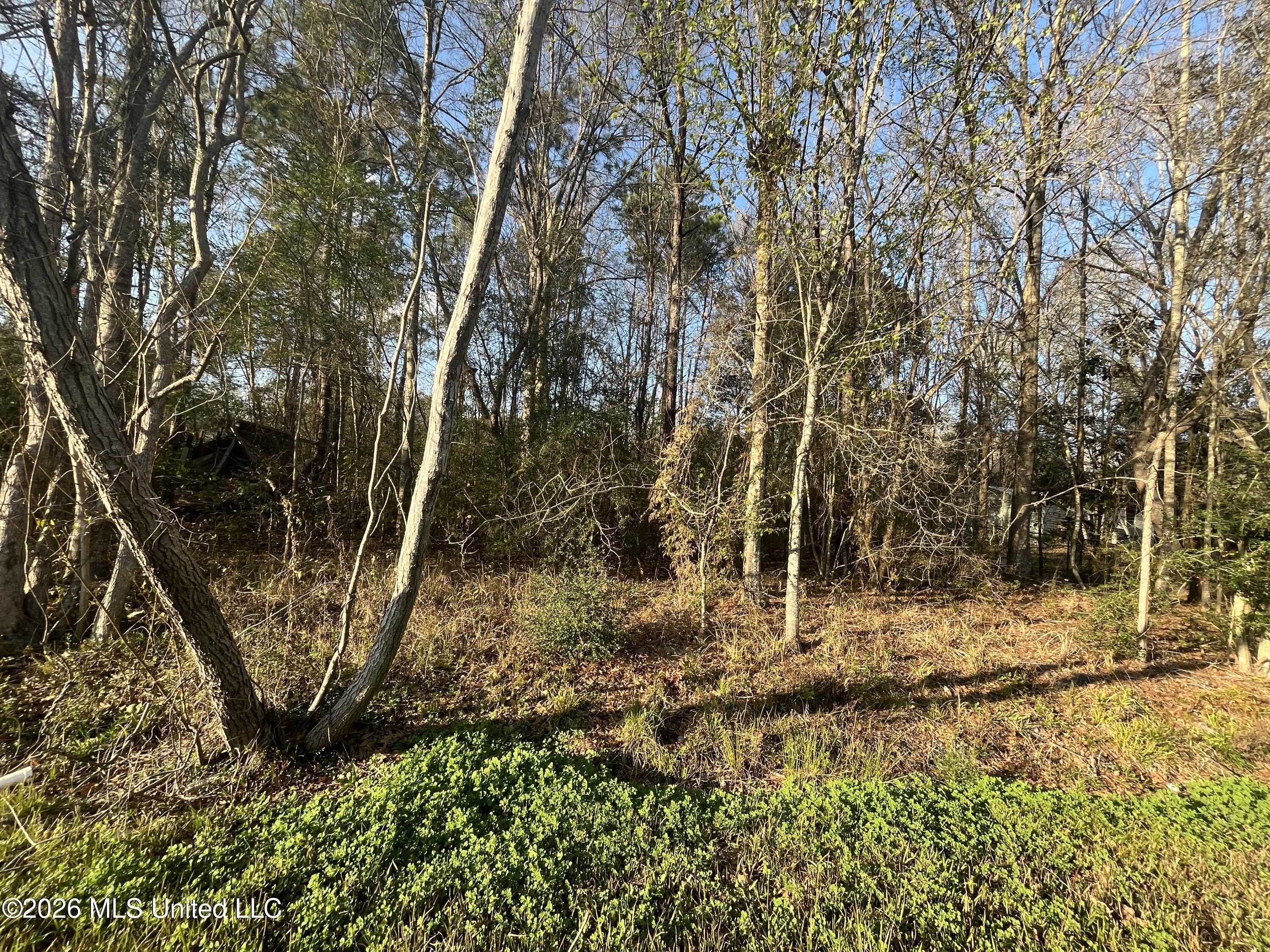 3700 Cochran Avenue Moss Point, MS 39562 - Photo 3 of 10 IMG_4547