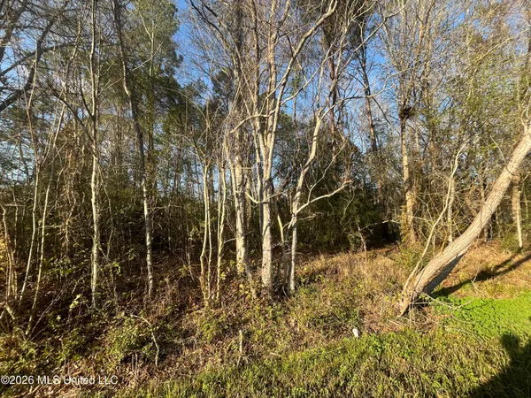 $12,500 | 3700 Cochran Avenue, Moss Point, MS 39562