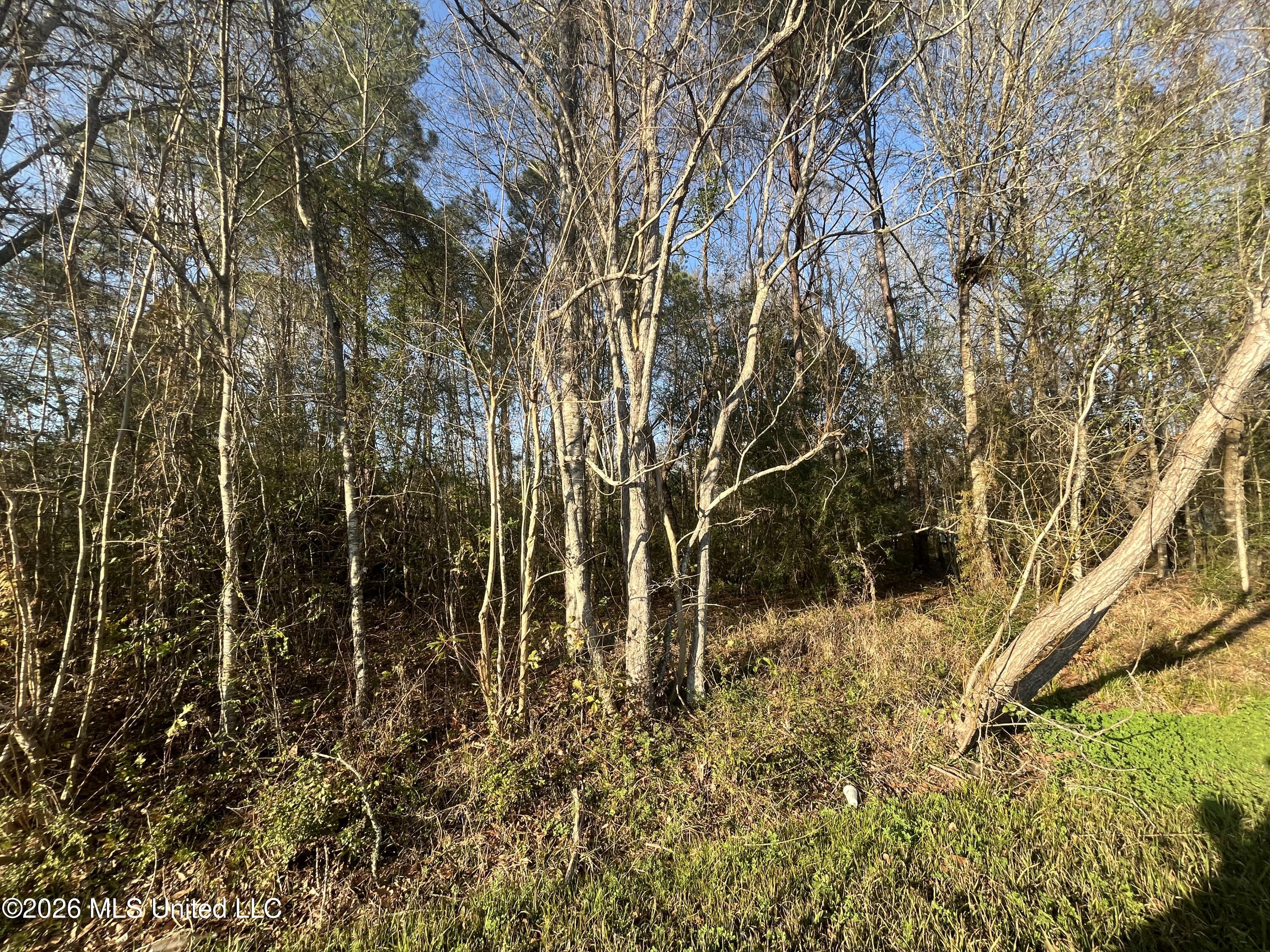 3700 Cochran Avenue Moss Point, MS 39562 - Photo 4 of 10 IMG_4548