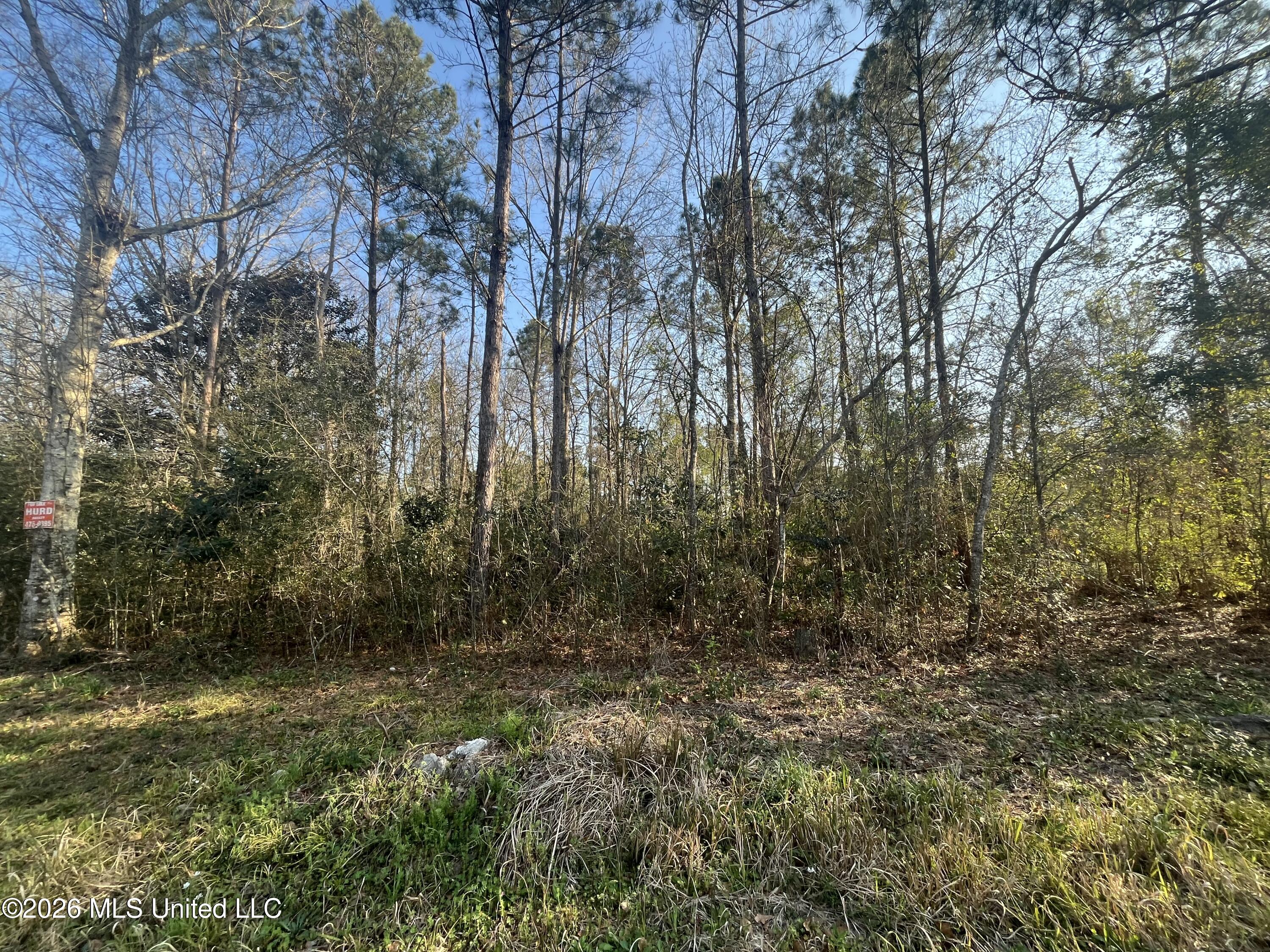 3700 Cochran Avenue Moss Point, MS 39562 - Photo 7 of 10 IMG_4543