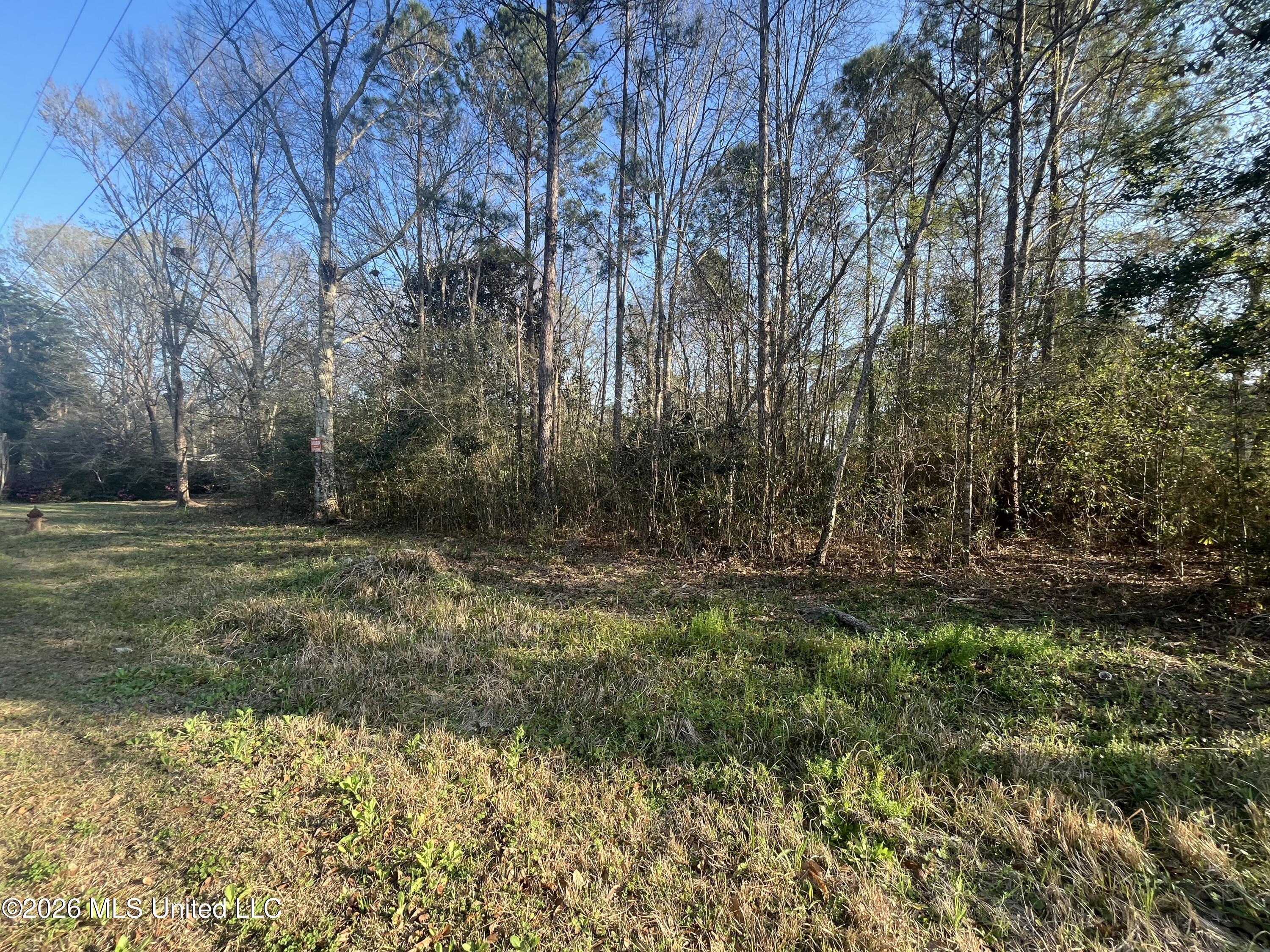 3700 Cochran Avenue Moss Point, MS 39562 - Photo 8 of 10 IMG_4545