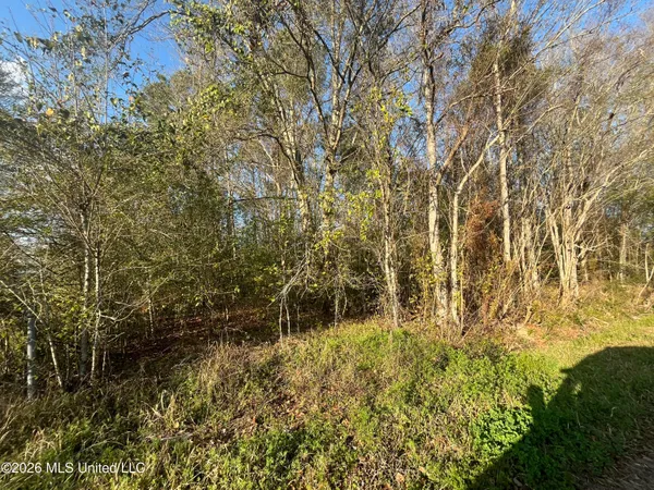 $12,500 | 3700 Cochran Avenue, Moss Point, MS 39562