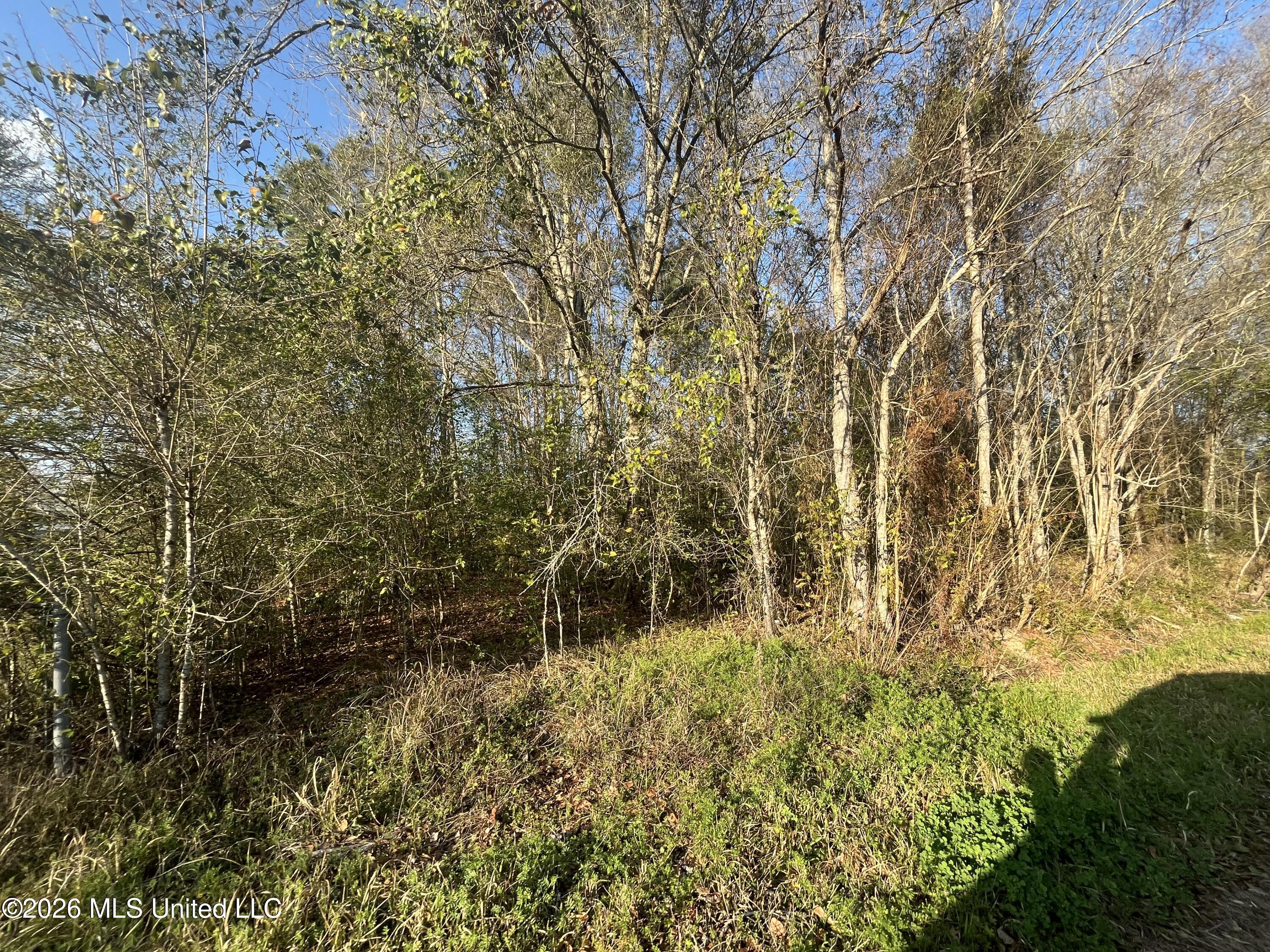 3700 Cochran Avenue Moss Point, MS 39562 - Photo 10 of 10 IMG_4550