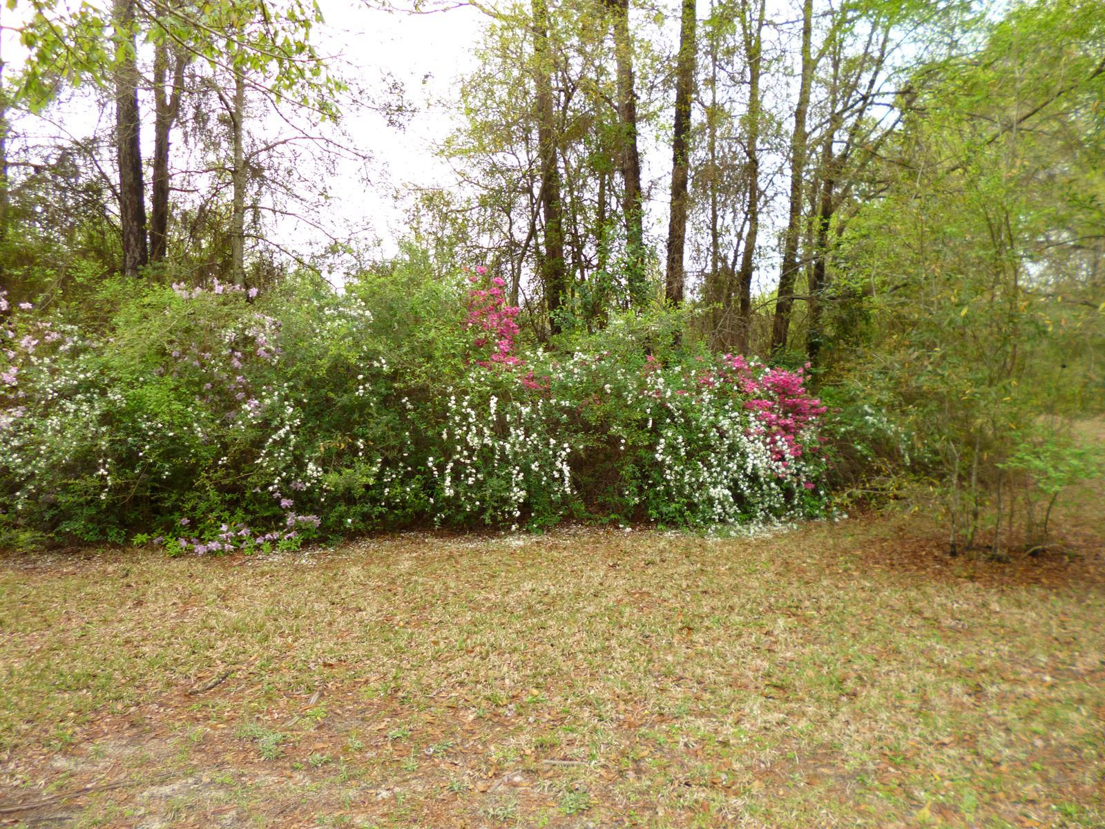 5852 Ward Ranch Road Crestview, FL 32536 - Photo 54 of 71 5852 Ward Ranch Rd 54