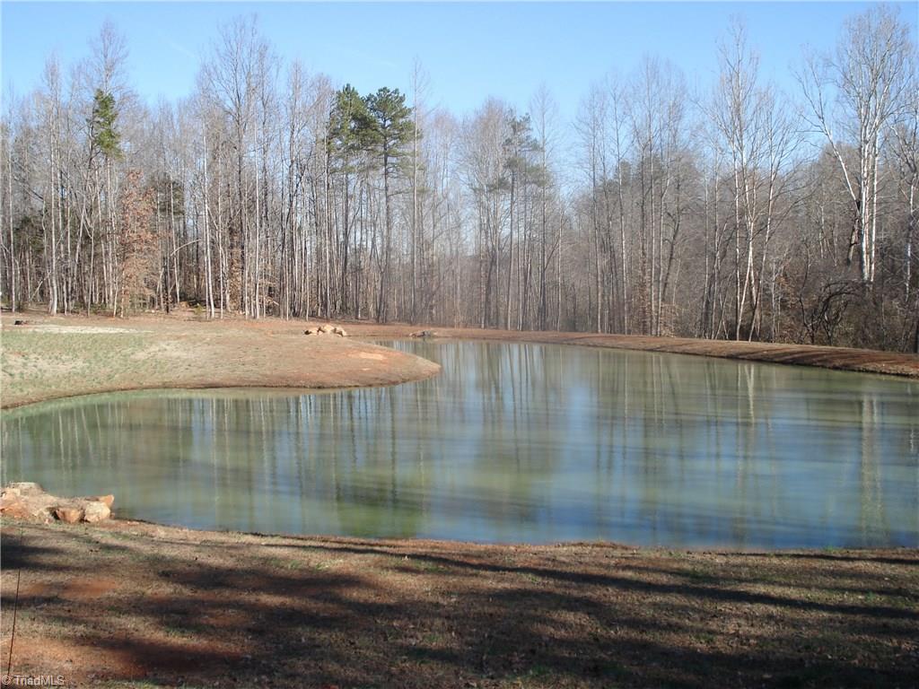 6973 Farmhouse Road Liberty, NC 27298 - Photo 30 of 30 Gallery Image 30