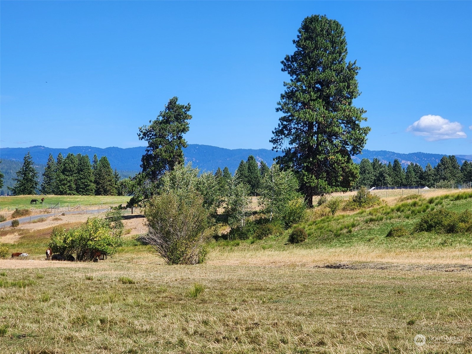 3 Iron Mountain Road Cle Elum, WA 98922 - Photo 11 of 30 Gallery Image 11