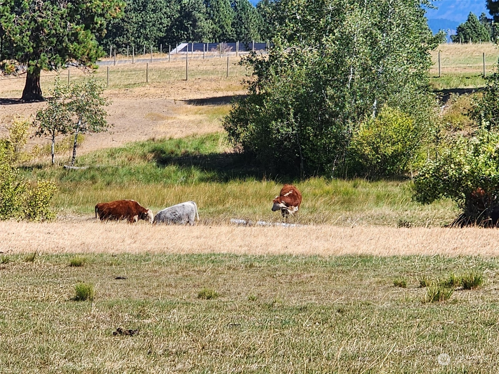 3 Iron Mountain Road Cle Elum, WA 98922 - Photo 12 of 30 Gallery Image 12
