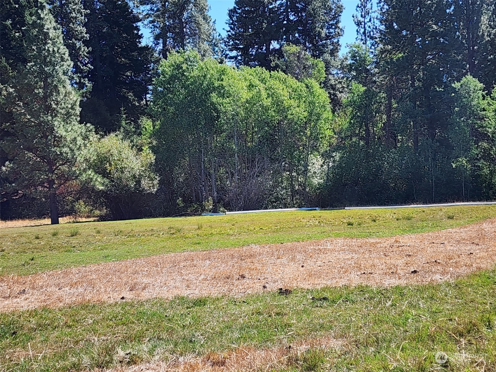 3 Iron Mountain Road Cle Elum, WA 98922 - Photo 15 of 30 Gallery Image 15
