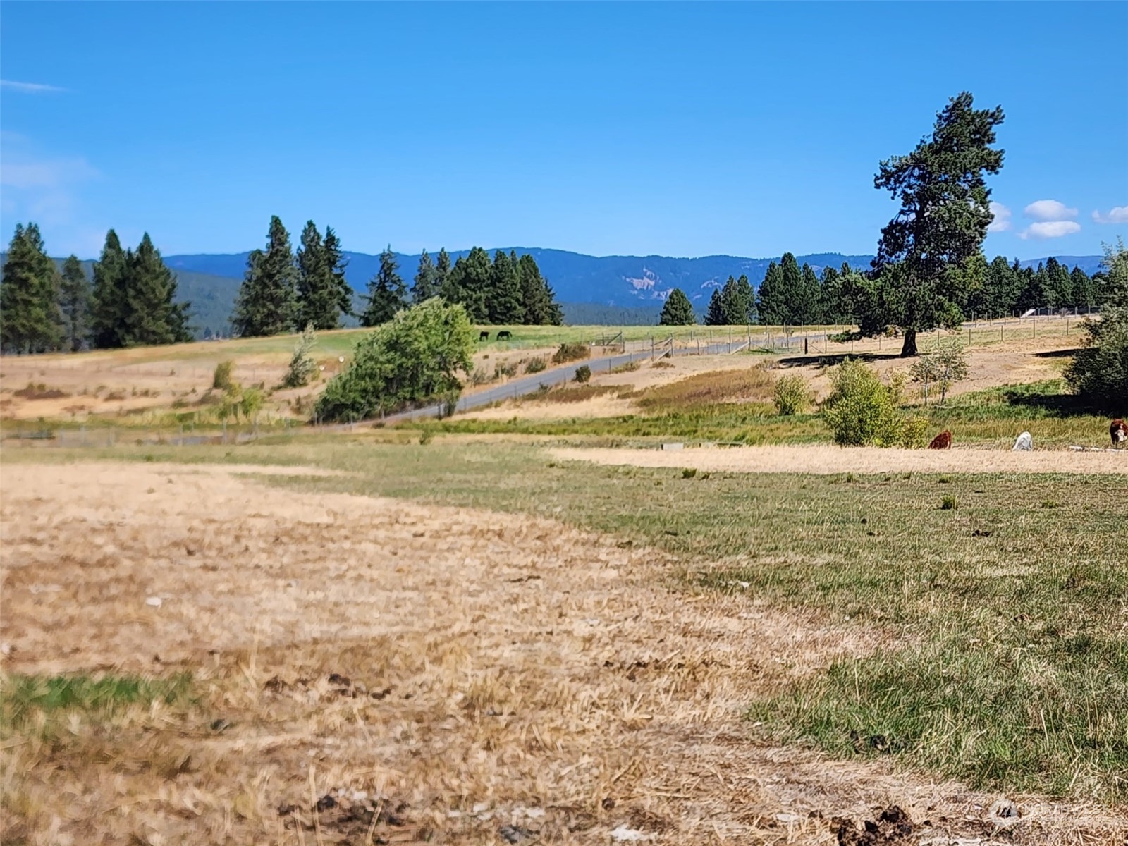 3 Iron Mountain Road Cle Elum, WA 98922 - Photo 17 of 30 Gallery Image 17