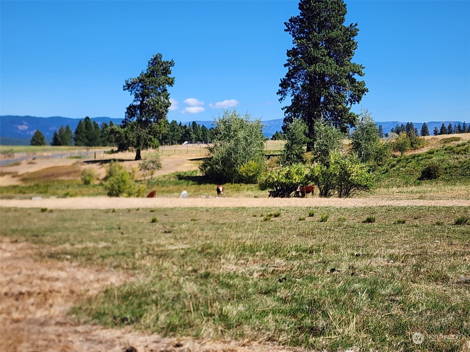 3 Iron Mountain Road Cle Elum, WA 98922 - Photo 18 of 30 Gallery Image 18