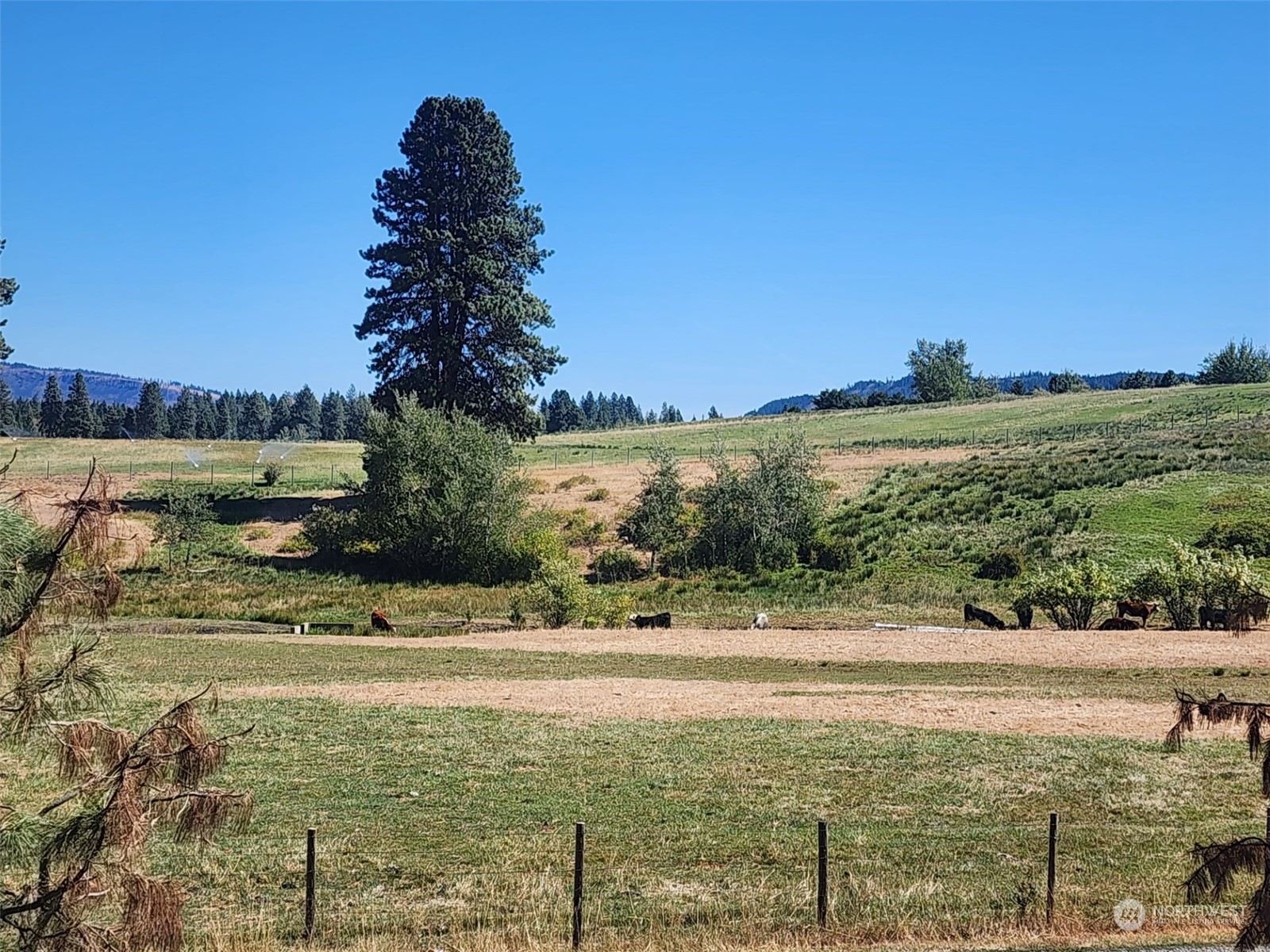 3 Iron Mountain Road Cle Elum, WA 98922 - Photo 19 of 30 Gallery Image 19