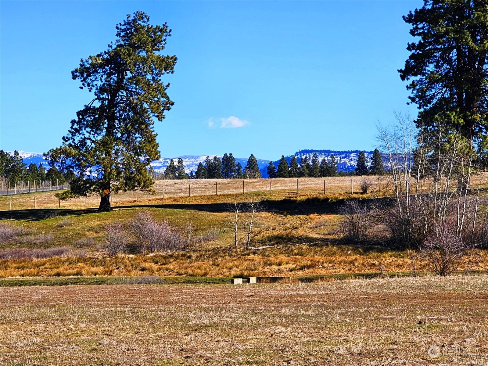 3 Iron Mountain Road Cle Elum, WA 98922 - Photo 25 of 30 Gallery Image 25