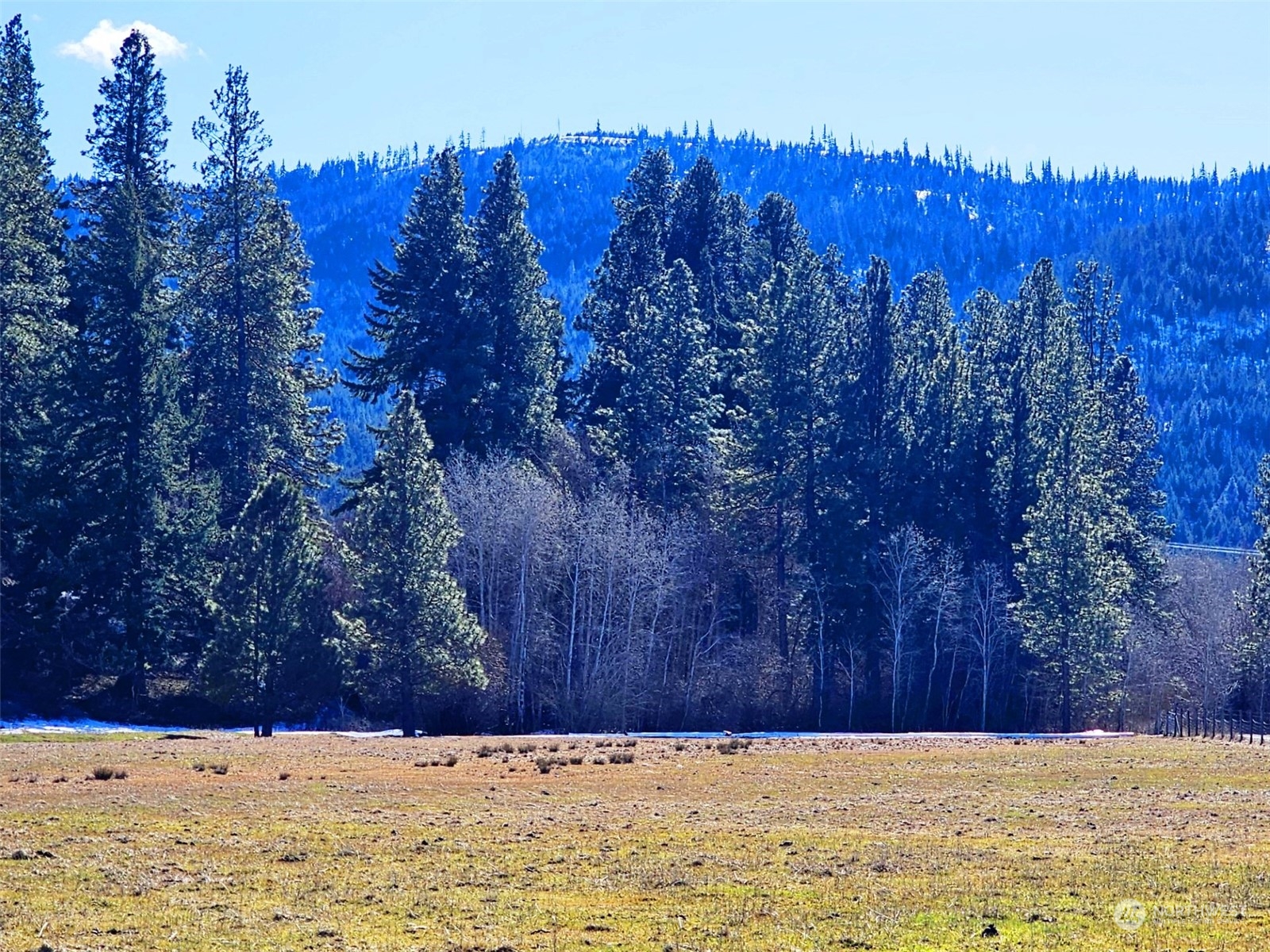 3 Iron Mountain Road Cle Elum, WA 98922 - Photo 30 of 30 Gallery Image 30