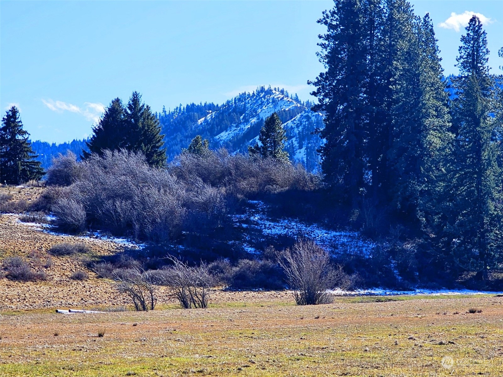 3 Iron Mountain Road Cle Elum, WA 98922 - Photo 4 of 30 Gallery Image 4