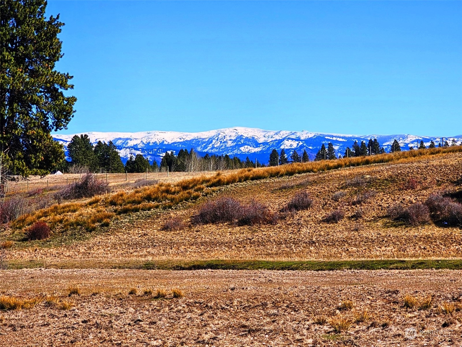 3 Iron Mountain Road Cle Elum, WA 98922 - Photo 6 of 30 Gallery Image 6