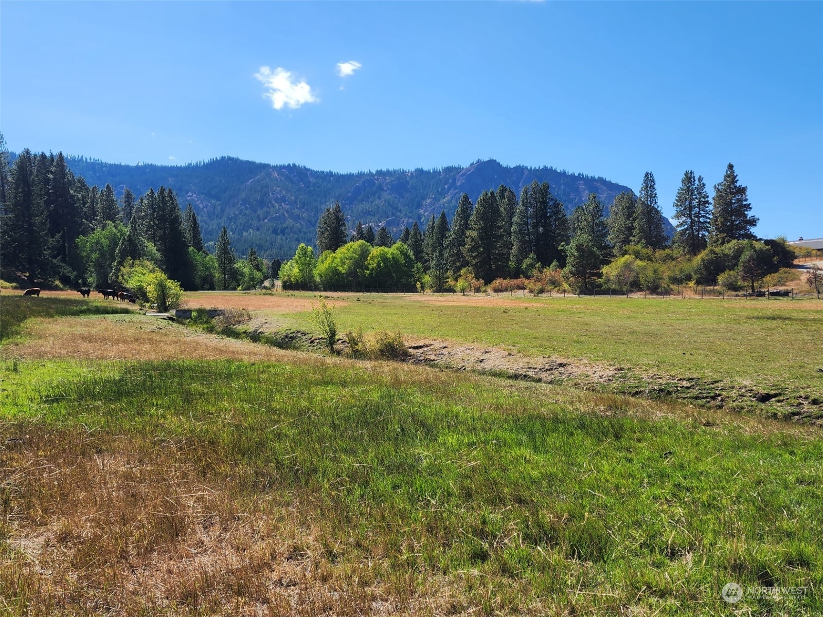 3 Iron Mountain Road Cle Elum, WA 98922 - Photo 9 of 30 Gallery Image 9