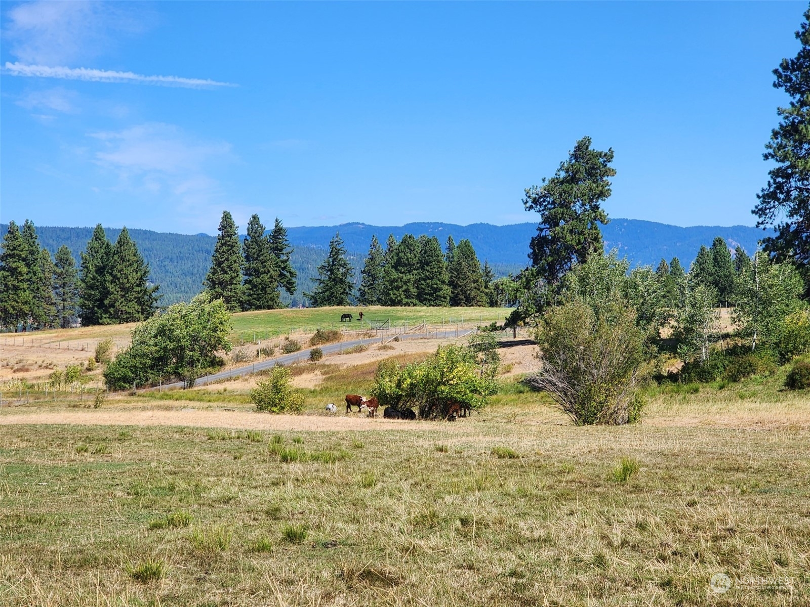 3 Iron Mountain Road Cle Elum, WA 98922 - Photo 10 of 30 Gallery Image 10
