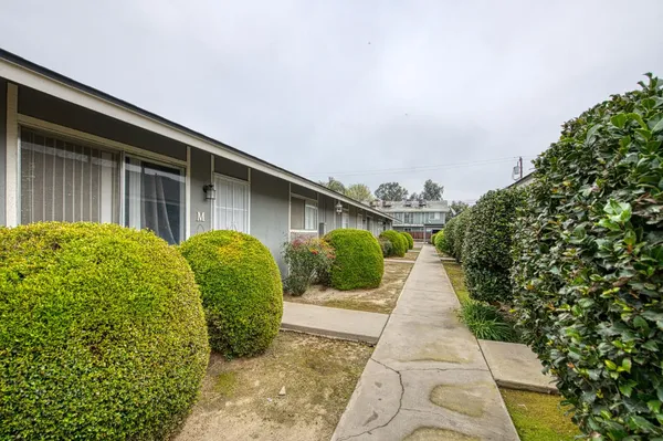 a view of a garden with pathway
