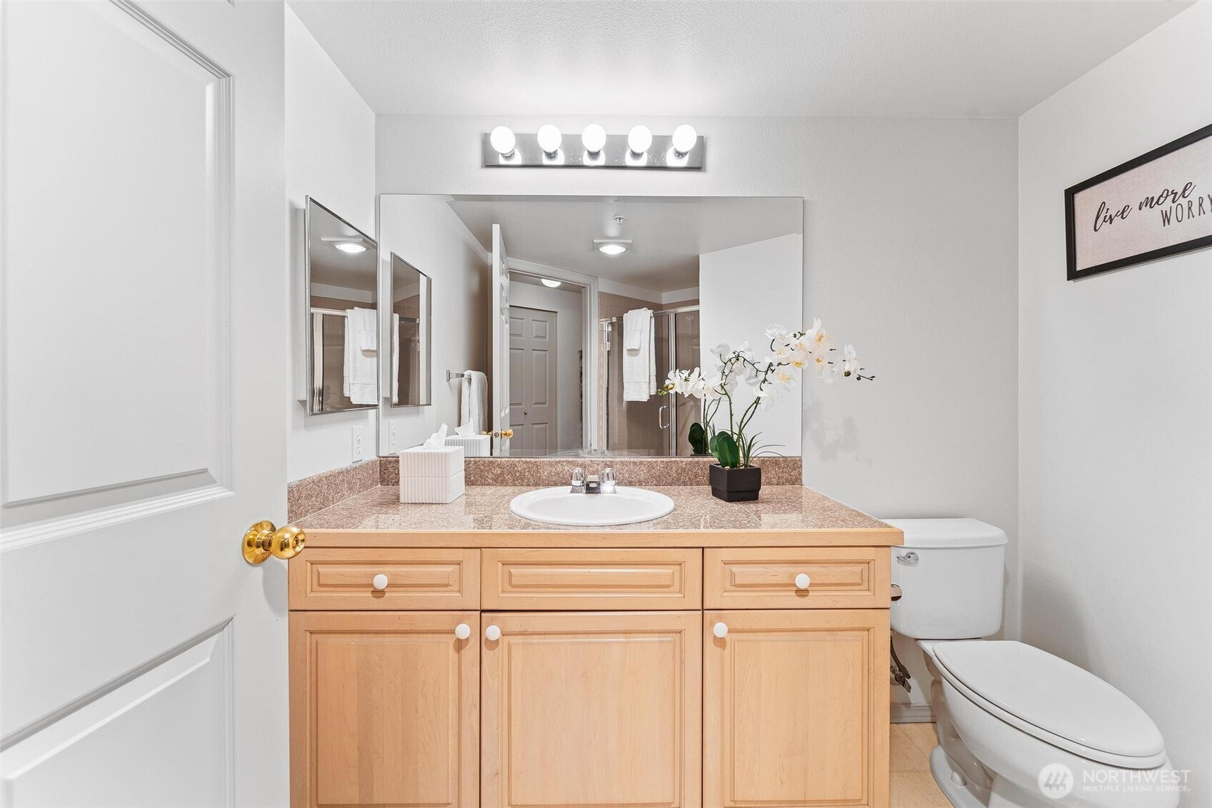 15020 Bothell Way Northeast, Unit 502 Lake Forest Park, WA 98155 - Photo 20 of 30 a bathroom with a granite countertop sink a toilet and a mirror