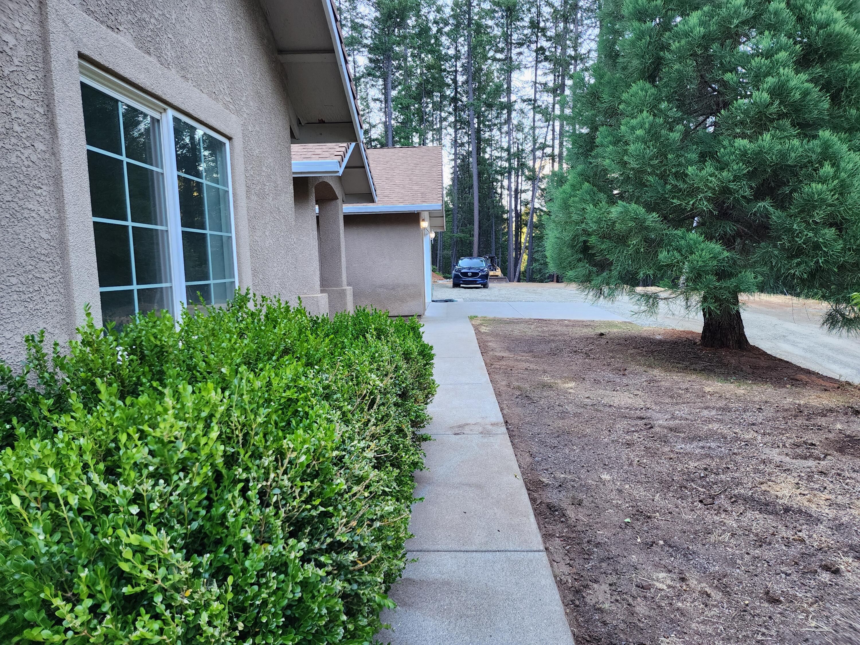 370 34N96 Lewiston, CA 96052 - Photo 5 of 30 a view of a back yard