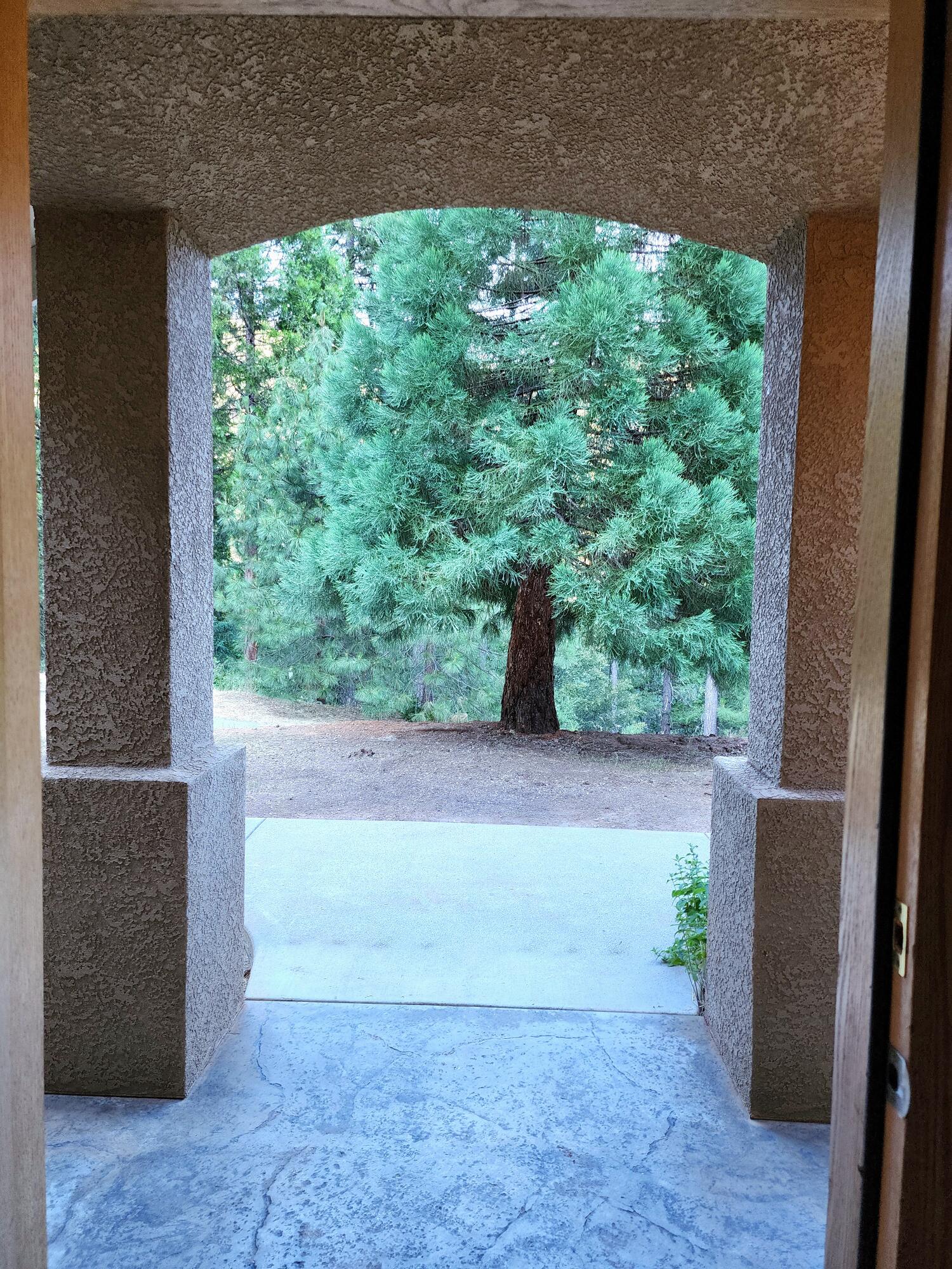 370 34N96 Lewiston, CA 96052 - Photo 6 of 30 a view of backyard with green space