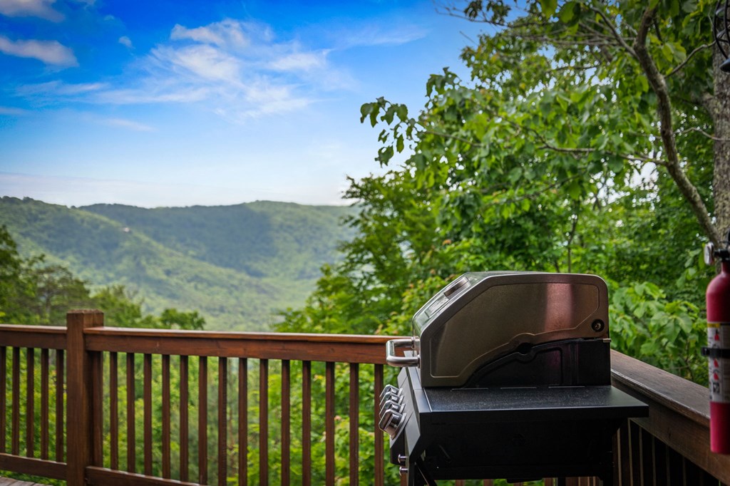 58 Overlook Drive Blue Ridge, GA 30513 - Photo 63 of 67 Gallery Image 63