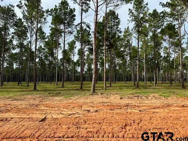 $199,900 | Lot 86 Oak River, Frankston, TX 75763