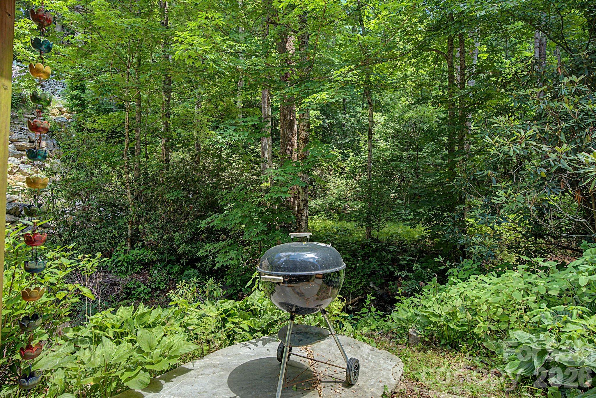 878 Garren Creek Road Fairview, NC 28730 - Photo 36 of 46