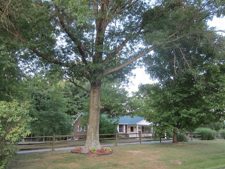 6736 East Bend Road Burlington, KY 41005 - Photo 2 of 19 Gallery Image 2